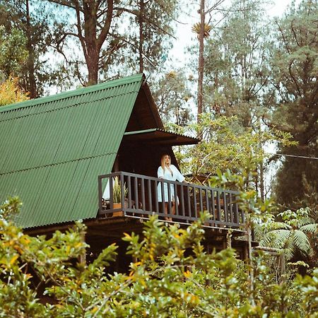 Cardinal Glamping 호텔 Guatapé 외부 사진