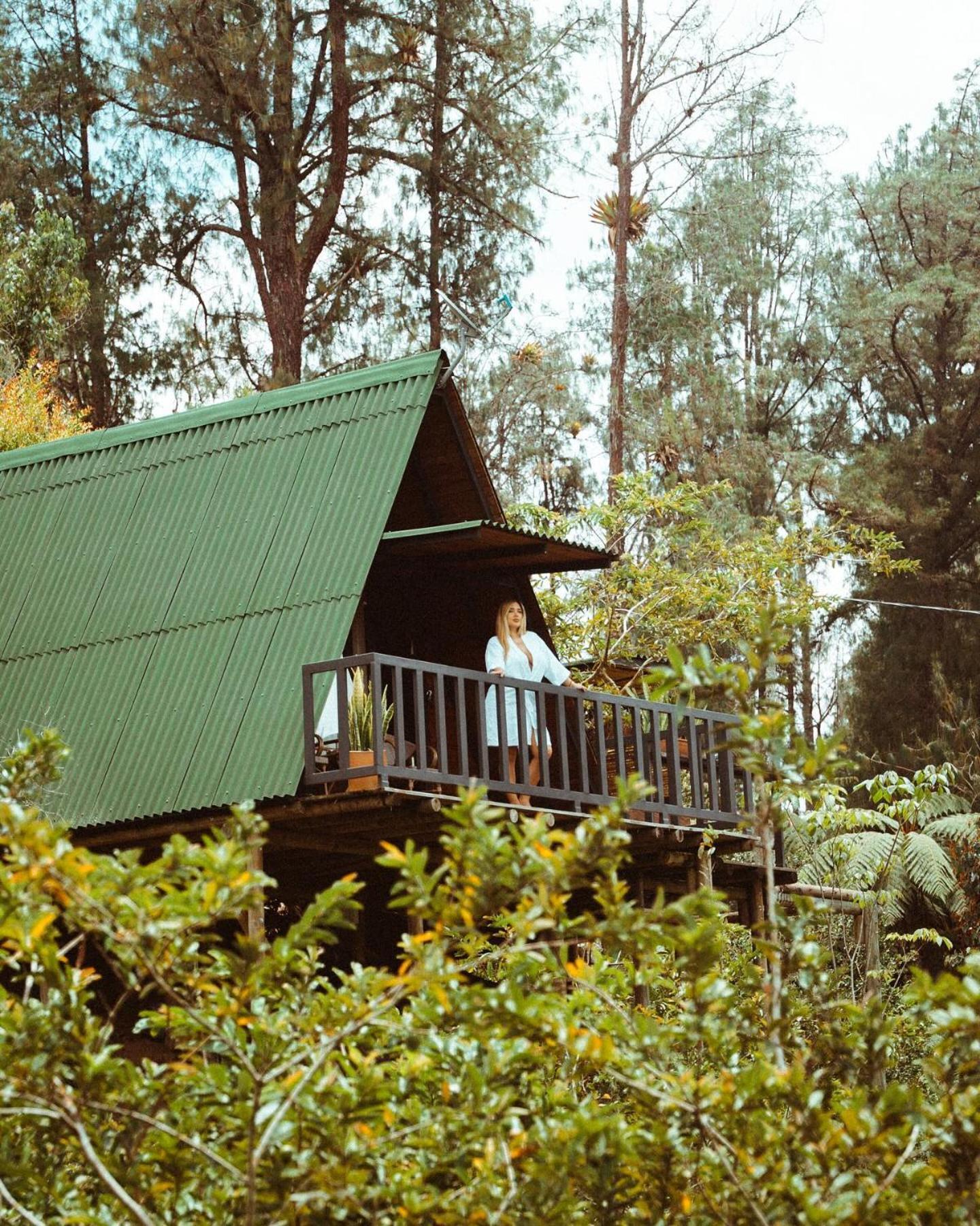 Cardinal Glamping 호텔 Guatapé 외부 사진